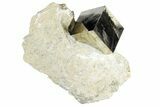 Large, Natural Pyrite Cube In Rock - Navajun, Spain #177099-3